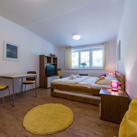 Apartman Lipno 20 リプノ・ナト・ヴルタヴォウ エクステリア 写真