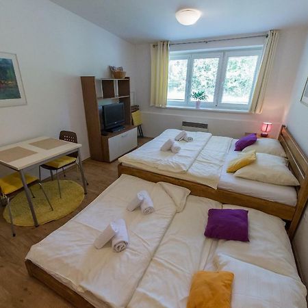 Apartman Lipno 20 リプノ・ナト・ヴルタヴォウ エクステリア 写真