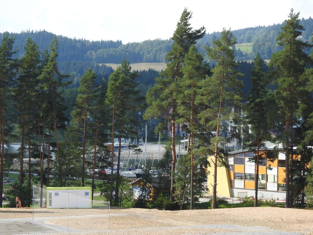 Apartman Lipno 20 リプノ・ナト・ヴルタヴォウ エクステリア 写真