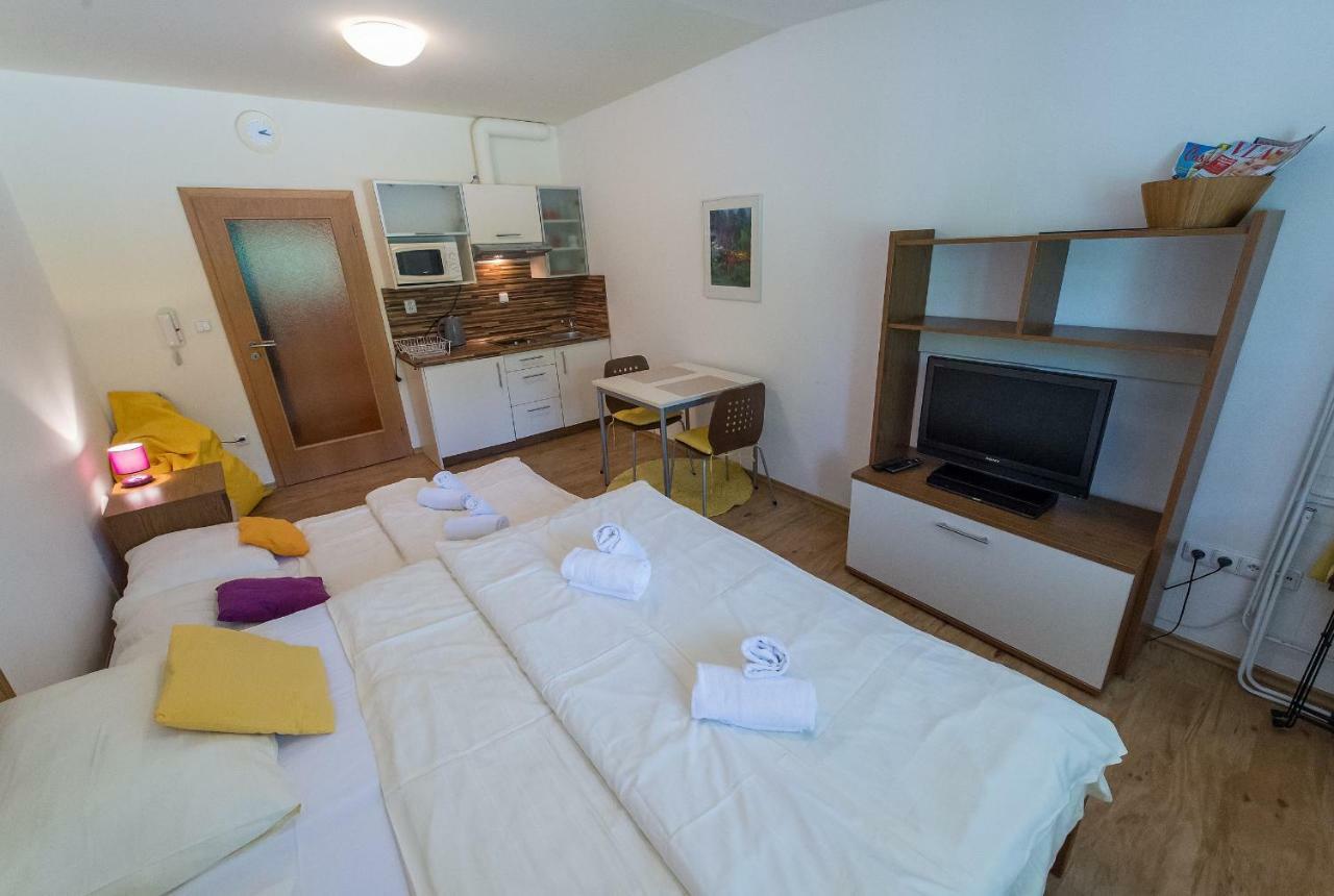 Apartman Lipno 20 リプノ・ナト・ヴルタヴォウ エクステリア 写真
