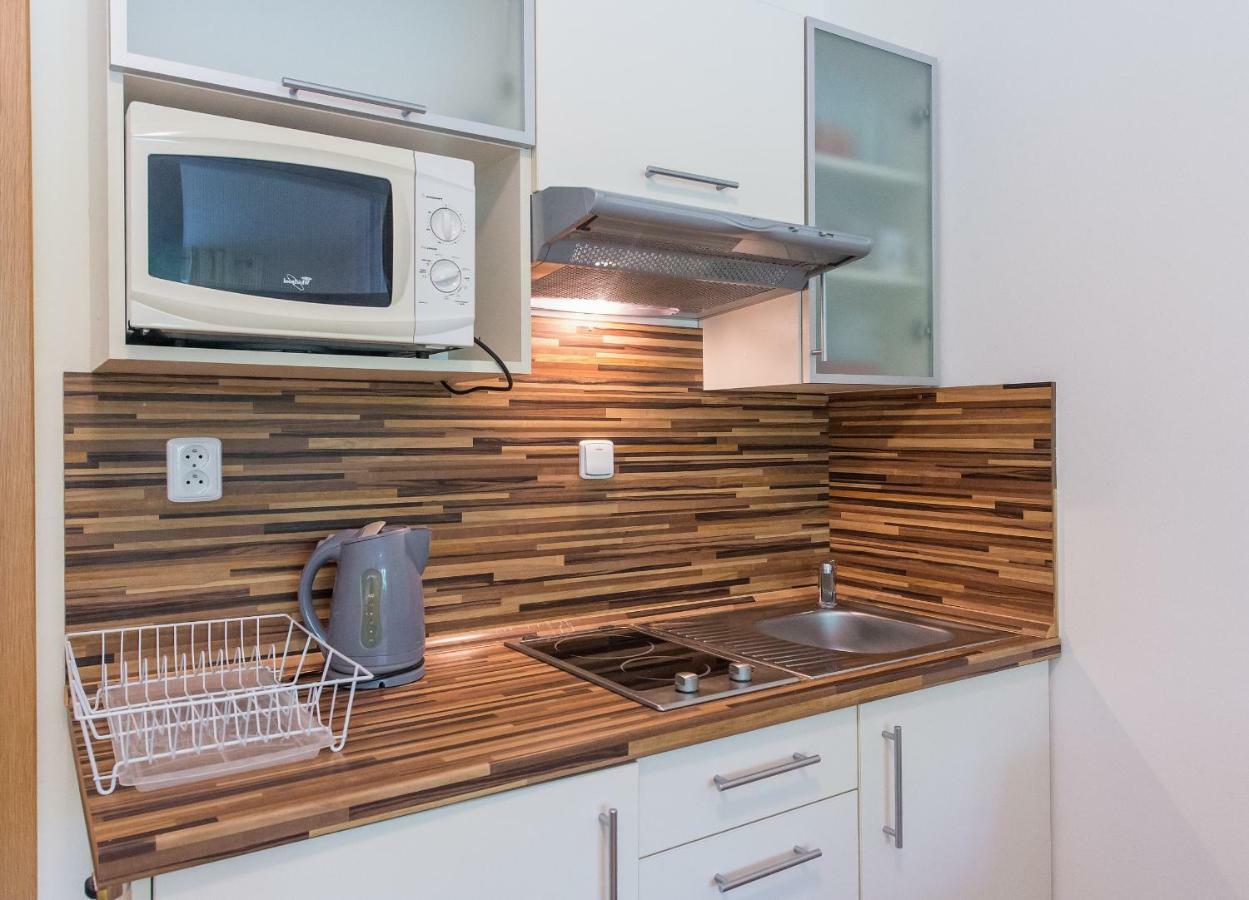 Apartman Lipno 20 リプノ・ナト・ヴルタヴォウ エクステリア 写真