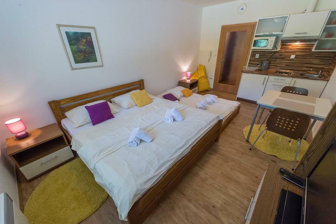 Apartman Lipno 20 リプノ・ナト・ヴルタヴォウ エクステリア 写真
