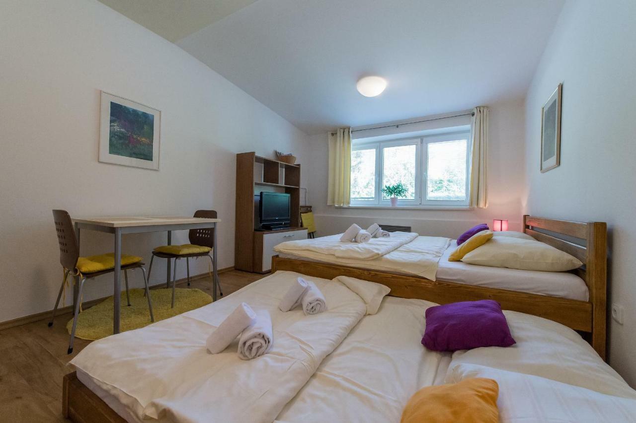 Apartman Lipno 20 リプノ・ナト・ヴルタヴォウ エクステリア 写真