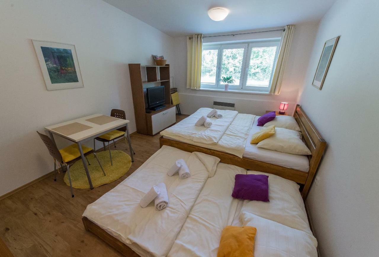 Apartman Lipno 20 リプノ・ナト・ヴルタヴォウ エクステリア 写真
